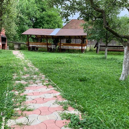 Vila Mogan Hotel Alsómoécs Kültér fotó
